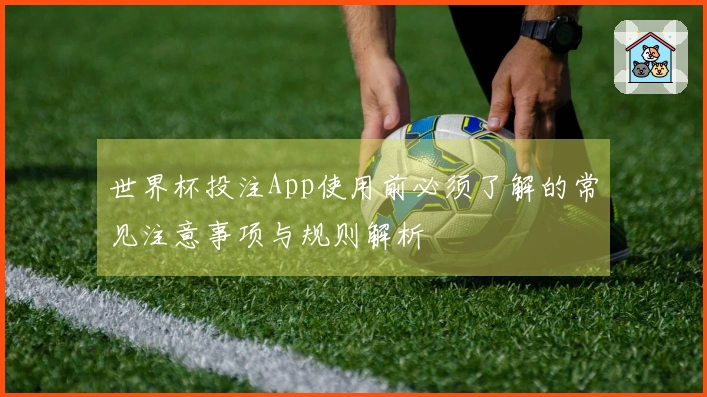 世界杯投注App使用前必须了解的常见注意事项与规则解析