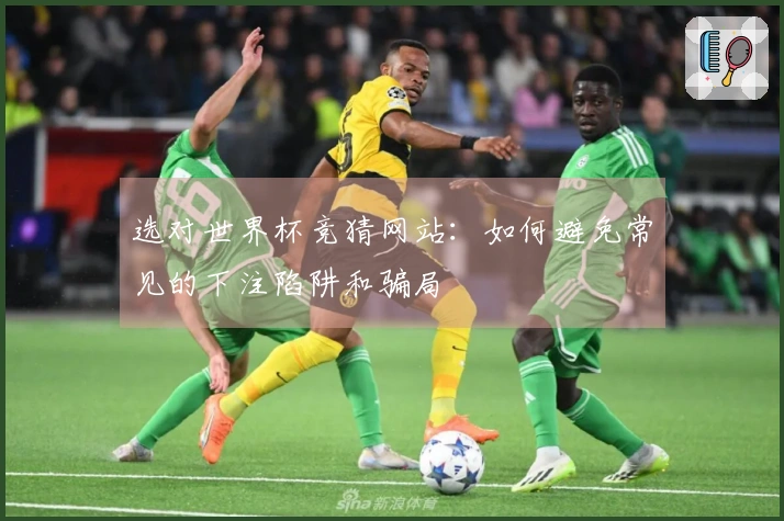 选对世界杯竞猜网站：如何避免常见的下注陷阱和骗局