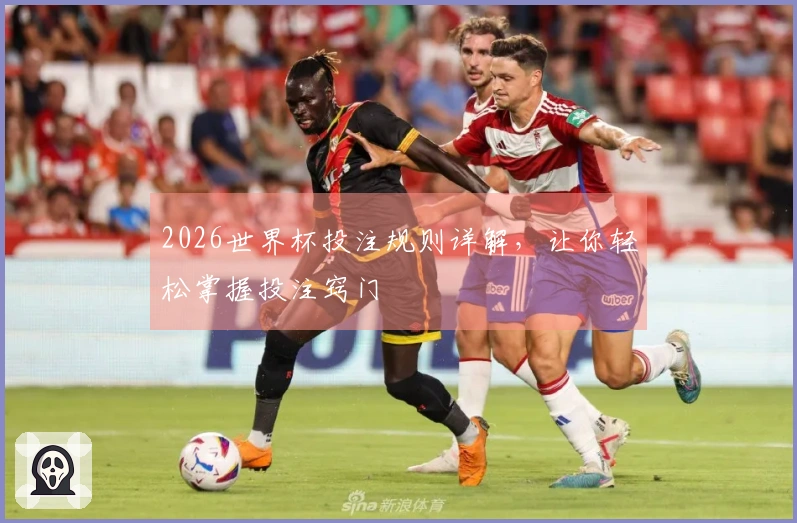 2026世界杯投注规则详解，让你轻松掌握投注窍门