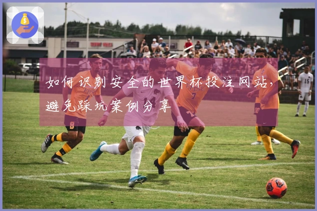 如何识别安全的世界杯投注网站，避免踩坑案例分享